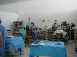 Patients seen in the operating room.