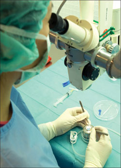 DMEK roll is harvested (left) in the eye bank 1 to 2 weeks before the operation at Amnitrans Eye Bank in Rotterdam. 