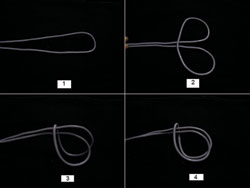 Figure 3. Steps of tying a cow hitch knot from a closed loop of suture.