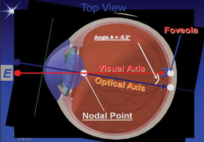 Figure 4. Optical and visual axis in horizontal cross section. 