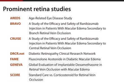 Prominent retina studies