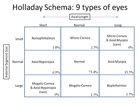 Jack T. Holladay, MD, MSEE, has noted that axial length does not necessarily correlate to the size of the anterior segment, which can result in less accuracy with lens power calculations due to difficulty in determining the effective lens position. The percentage in each cell indicates the percentage of eyes in his study that had those dimensions.