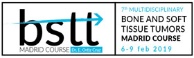 BSTT Madrid logo