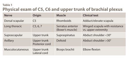 Physical exam of C5, C6 and upper trunk of brachial plexus