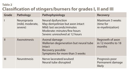 Classification of stingers/burners