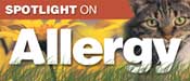 Spotlight on Allergy