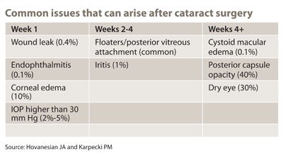 Table 1. Commom issues that can arise after cataract surgery