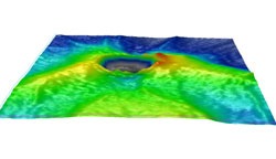 Note that the temporal disc margin has an elevated wall, which is unusual in occurrence. This view is from temporal to nasal (front to back).