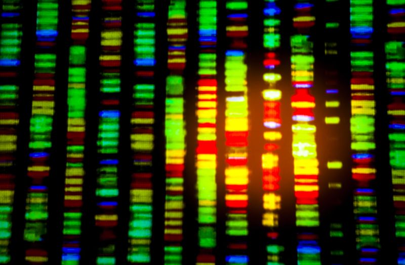 DNA Sequence