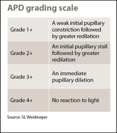 APD grading scale