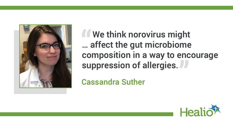 "We think norovirus might affect the gut microbiome composition in a way to encourage suppression of allergies." 