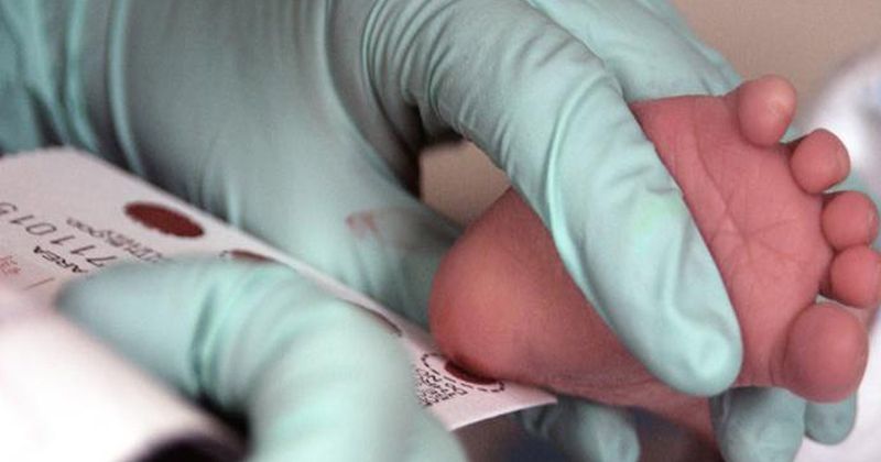 baby gets a newborn screening