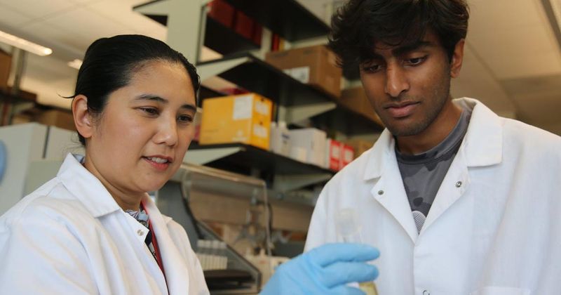 Justine Tigno-Aranjuez, PhD, and Vishanth Murugesan