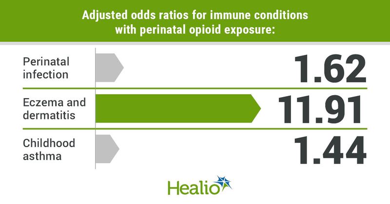 Adjusted odds ratios for immune conditions with perinatal opioid exposure include 1.62 for perinatal infection, 11.91 for eczema and dermatitis and 1.44 for childhood asthma.