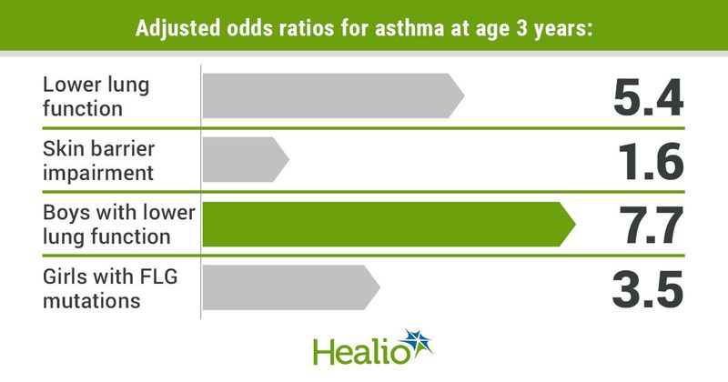 Adjusted odds ratios for asthma at age 3 years include 5.4 for lower lung function, 1/6 for skin barrier impairment, 7.7 for boys with lower lung function and 3.5 for girls with FLG mutations.