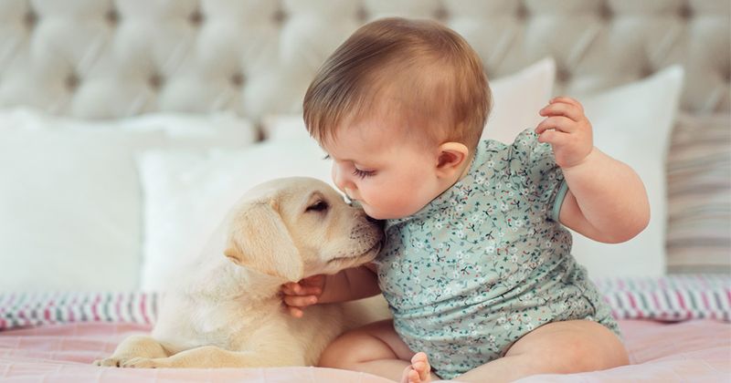 baby and puppy