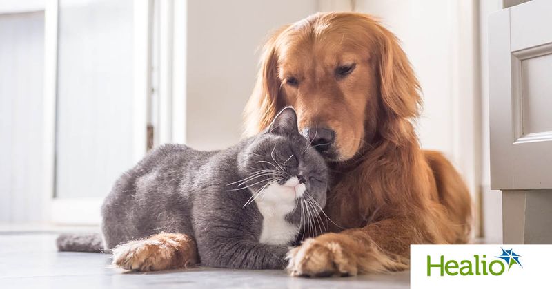 can and dog snuggling