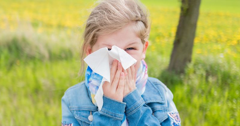 child with grass pollen allergy