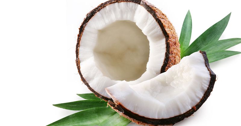 Coconut