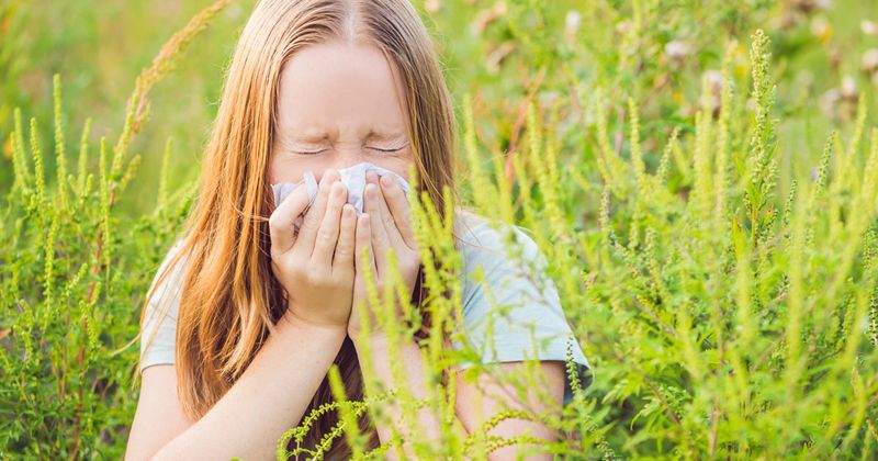 Young girl with ragweed allergy