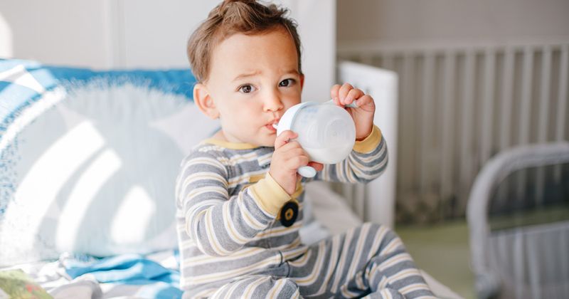 toddler drinking milk