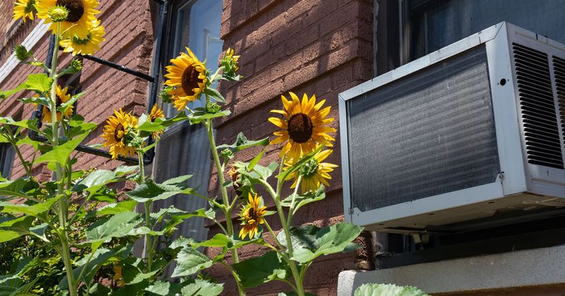 Window AC unit