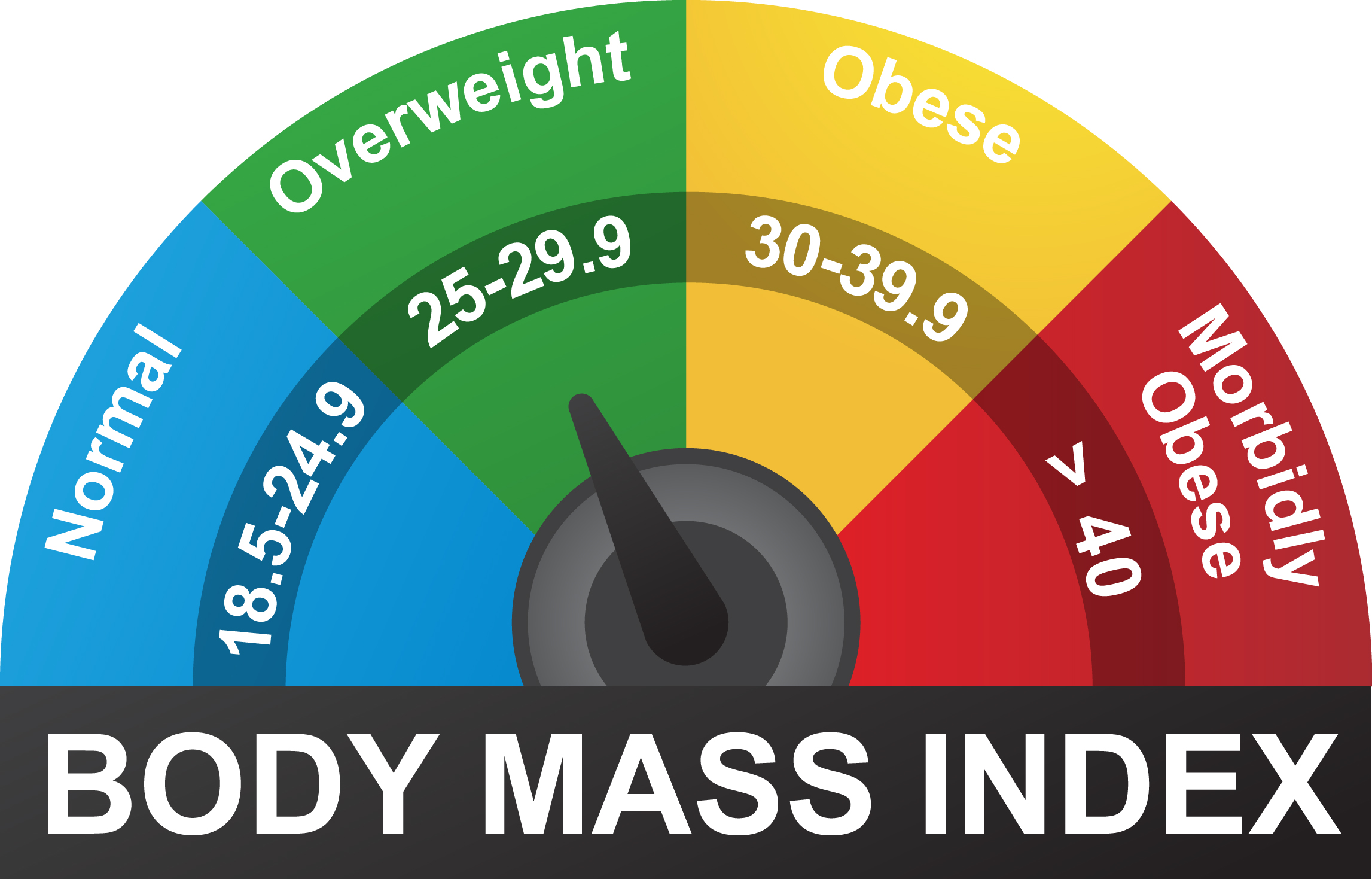 BMI Scale