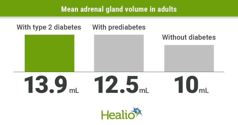 Mean adrenal gland volume is larger with diabetes or prediabetes than without diabetes