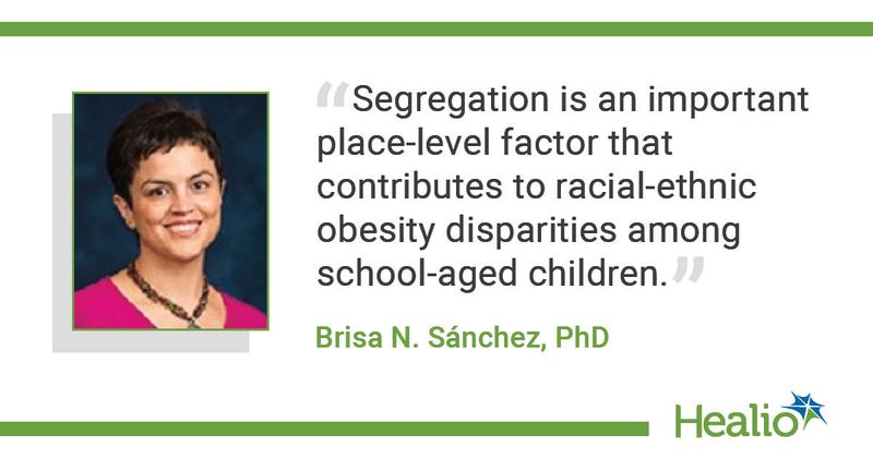 Brisa N. Sanchez, PhD