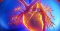 Potassium binder helps optimize spironolactone use in patients with HF, hyperkalemia risk