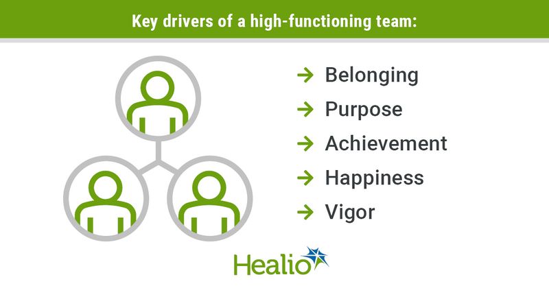 Key drivers of a high-functioning team: 1.	Belonging 2.	Purpose 3.	Achievement 4.	Happiness 5.	Vigor