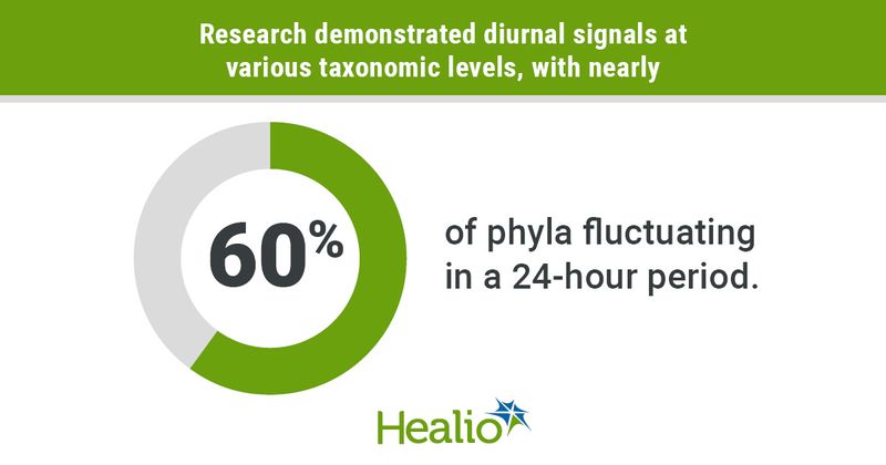 Research demonstrated diurnal signals at various taxonomic levels, with nearly 60% of phyla fluctuating in a 24-hour period.