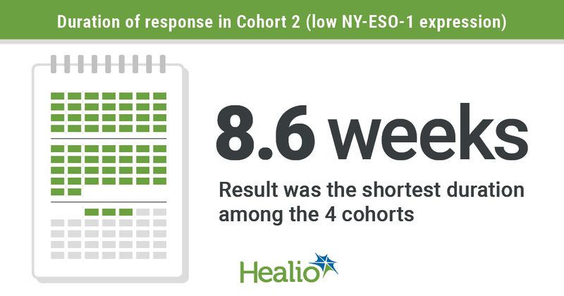 Letetresgene autoleucel demonstrated clinical activity among patients with advanced synovial sarcoma.