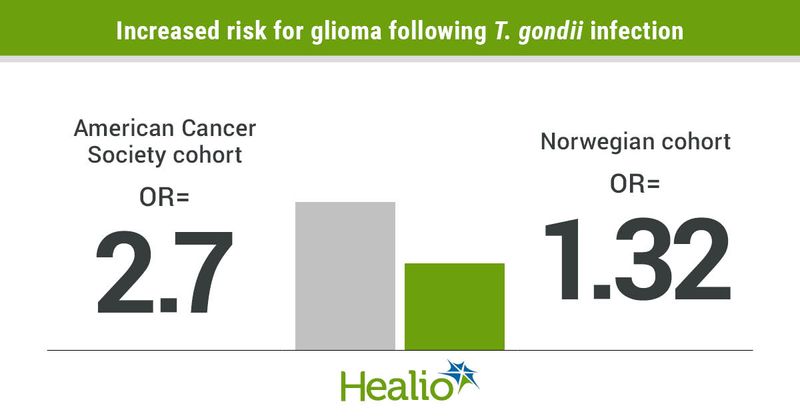 Toxoplasma gondii infection appeared to increase the risk for glioma in adults.