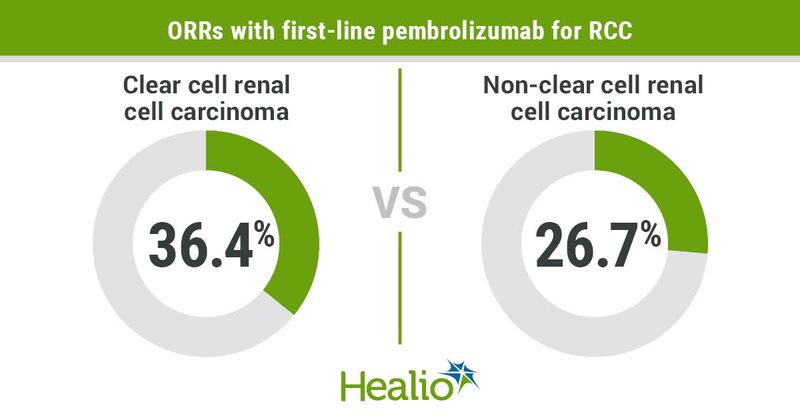 Pembrolizumab monotherapy showed promising antitumor activity and durable response rates as initial treatment for both clear cell and non-clear cell advanced renal cell carcinoma.