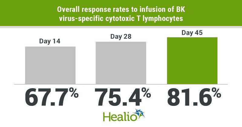 BK virus-specific cytotoxic T lymphocytes from healthy donors appeared safe and effective.