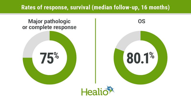 Rates of response, survival (median follow-up, 16 months) infographic 