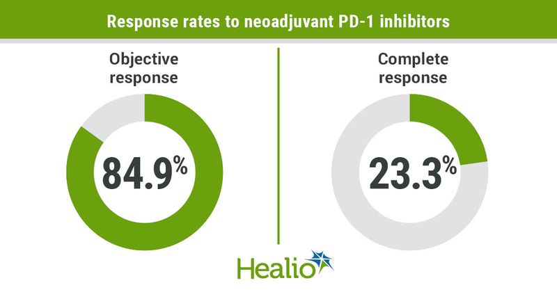 Response rates to neoadjuvant PD-1 inhibitors infographic