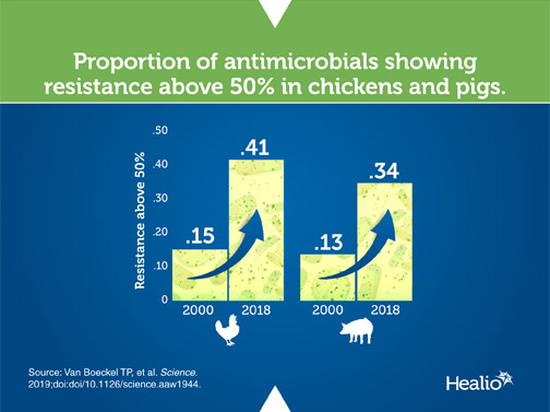 An infographic about antibiotic use among farmyard chickens and pigs