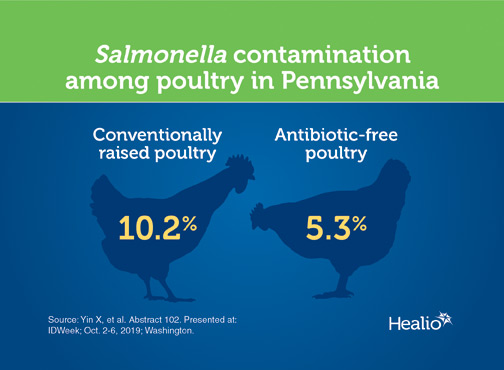 An infographic about Salmonella in poultry 