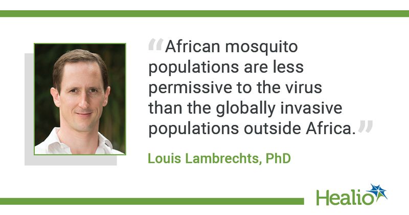 Lambrechts quote 