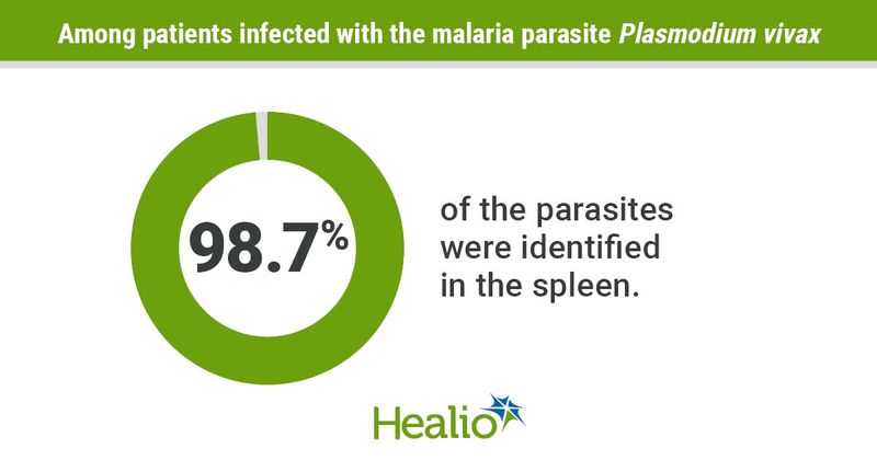 Malaria parasite infographic