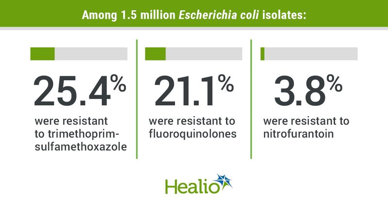 E. coli graphic