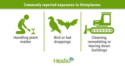 Histoplasmosis more common in rural areas of US