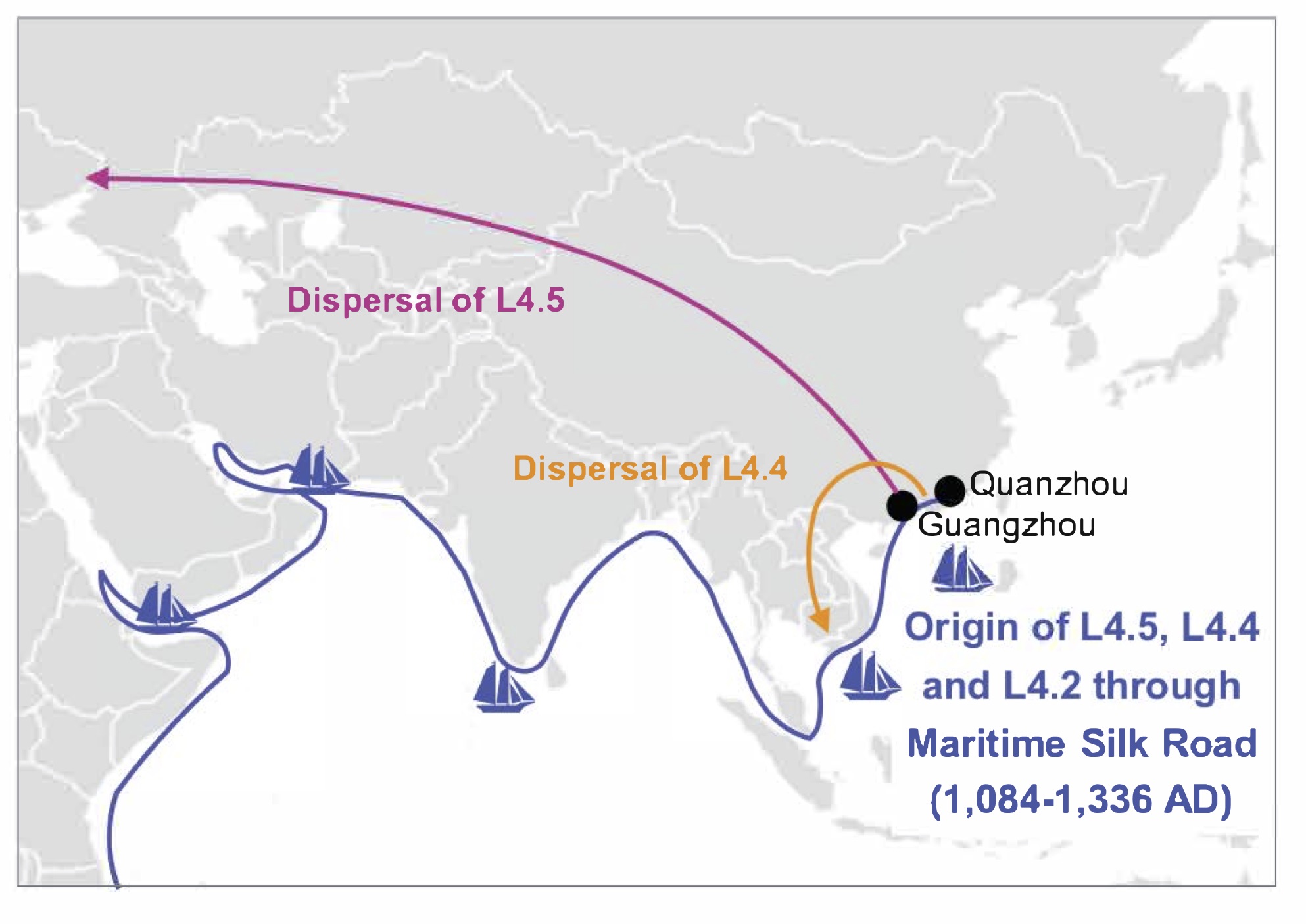 map of TB strains in China