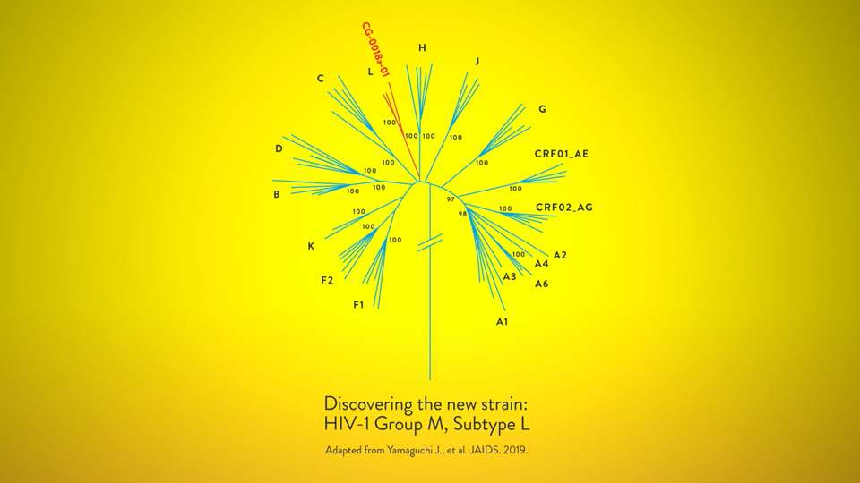 A photo of HIV-1 group M subtype L