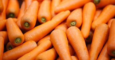 CDC: 1 dead in multistate outbreak of <i>E. coli</i> linked to organic carrots