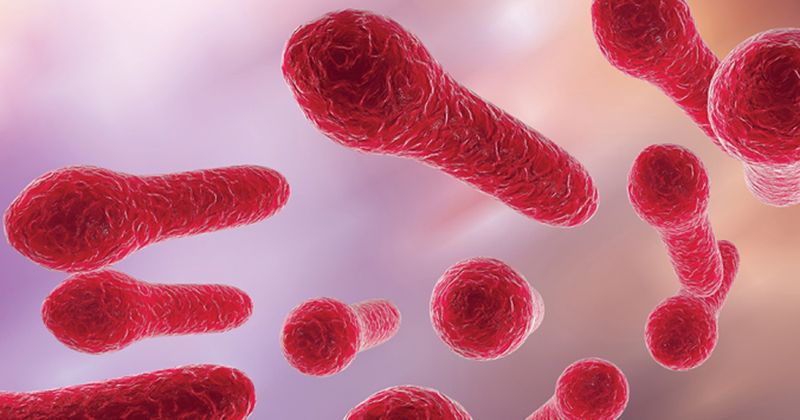 Clostridium_Difficile_infection 1