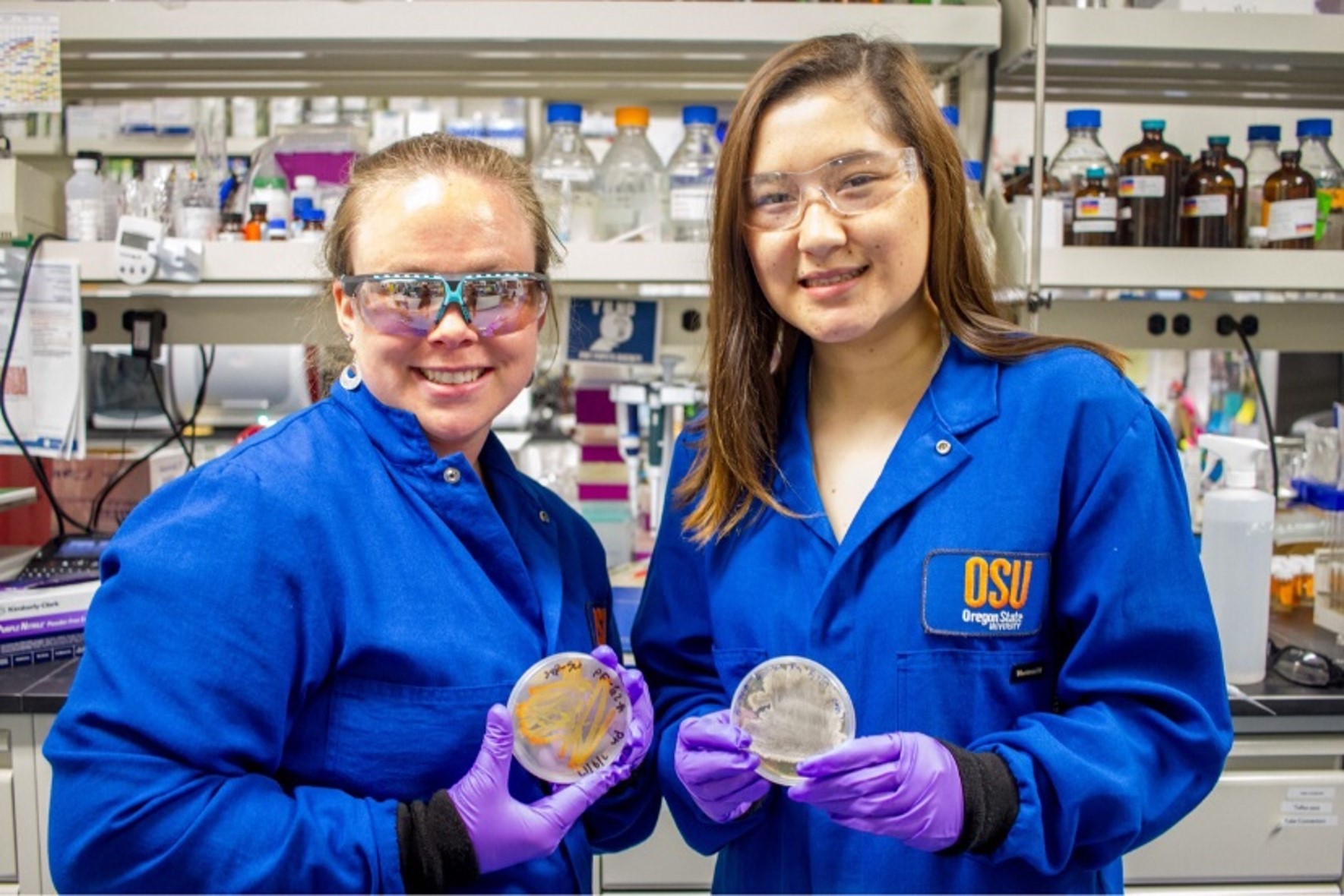 Photo of  Molly Austin and Paige Mandelare as they explore the fish microbiome in its early stage in Sandra Loesgen’s lab