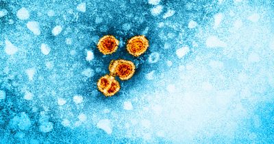 Viral hepatitis elimination requires equitable public health approach